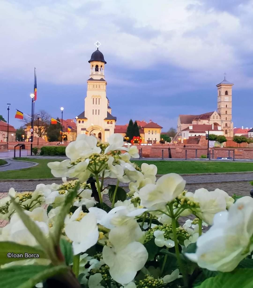 The View1 Apartment Alba Iulia Exterior photo